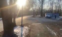 Дорожный инцидент во Владивостоке привлек внимание сотрудников ГИБДД 8cba74c3-b826-4ac3-98c2-079ed6a06eb8-67fd00cb