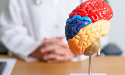 Как детские переживания влияют на здоровье мозга в будущем aa214161-cf29-409c-a3c0-44ba13629f66-6802db61