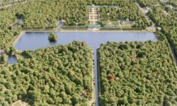 Обновление Большого Дворцового пруда в парке "Кусково" выходит на финишную прямую c0242743-cd00-4a3a-b1bf-ff839bd9638f-68057282