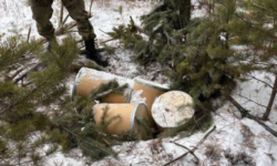 Успешная операция по предотвращению наркотрафика в Тюменском лесу c16a2f37-f030-4446-9409-ae66600b442c-67f7b1fa