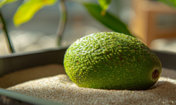 Превращаем твердое авокадо в спелый деликатес с помощью песка c582d458-6780-429b-9af2-25f1acc46b09-67f970dd
