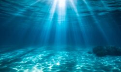 d7e0258d-f17b-4666-8bb4-146be671699d-67f22261