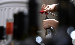 Российское виноделие демонстрирует рекордный рост производства в 2024 году dc81badd-3697-4263-a972-55f9e74ad19f-67f55259