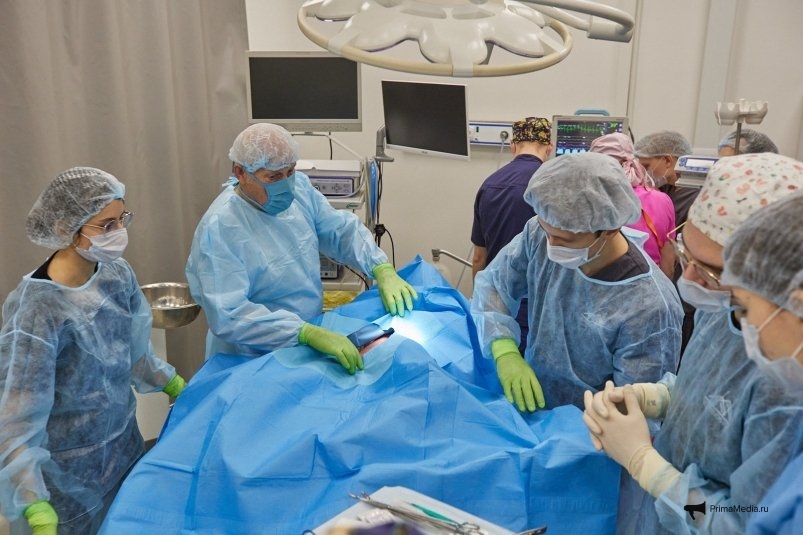Фото: primamedia.ru