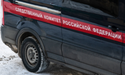 Зловещая афера подростка из Курганской области шокировала следствие f6e621fc-ac05-4832-a6ba-46d868dbaaf9-67f53839