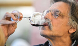 Российские виноделы открыли год рекордными достижениями rossijskie vinodely otkryli god rekordnymi dostizheniyami-ul-rks-ru-174052690500-0