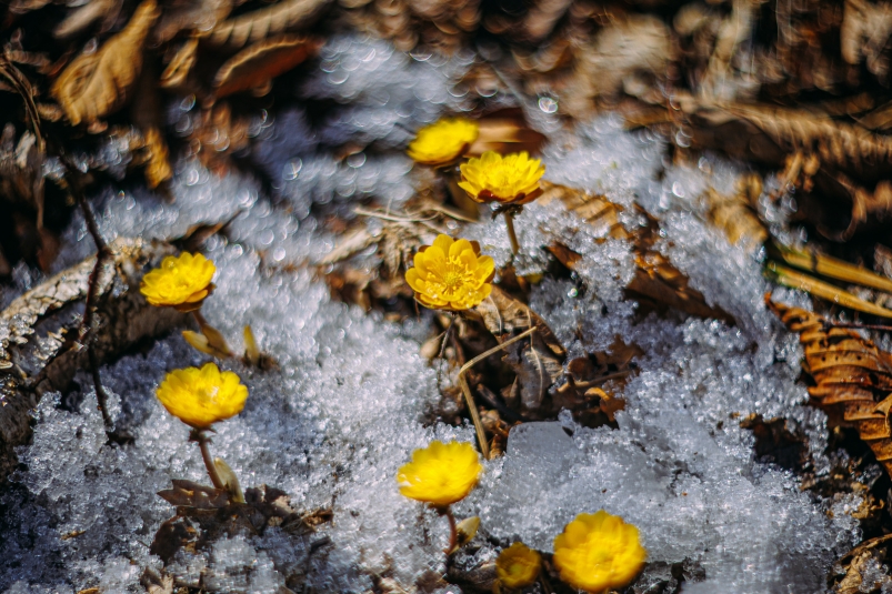 Фото: primamedia.ru