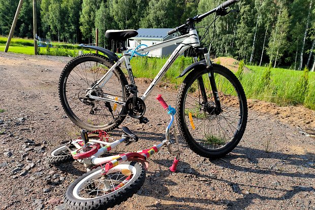 Вводная картинка