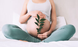 Депутат Бессараб подчеркнула гарантии трудовых прав для будущих матерей в России PregnantWomanHoldsGreenSproutPlantNearHerBellyAs