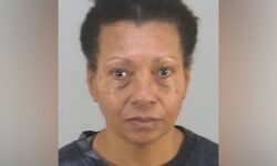 Элисон Агата Лоуренс и история с пуделем в аэропорту Орландо, США elison agata lourens i istoriya s pudelem v aeroportu orlando ssha-ul-rks-ru-174255604300-0