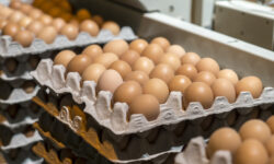 Константин Блохин раскрывает связь яичного кризиса с политикой США и Белого дома konstantin blohin raskryvaet svyaz yaichnogo krizisa s politikoj ssha i belogo doma-ul-rks-ru-174245699200-0