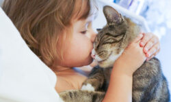 koshka v dome s detstva ukreplyaet immunitet i zashhishhaet ot allergii-ul-rks-ru-174248308500-0