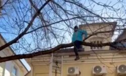 Курьер в Москве обрел свободу благодаря оперативной помощи Росгвардии и МЧС kurer v moskve obrel svobodu blagodarya operativnoj pomoshhi rosgvardii i mchs-ul-rks-ru-174254690100-0