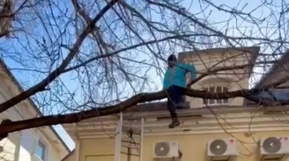 Курьер застрял на дереве при попытке выйти из здания в Москве