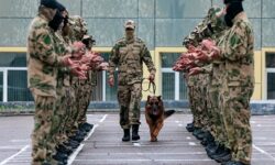 Пес спецназа Росгвардии из Приморья покорил международный пьедестал pes specznaza rosgvardii iz primorya pokoril mezhdunarodnyj pedestal-ul-rks-ru-174114170600-0