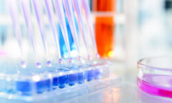 Прорыв в органической химии: российские исследователи совершили научный рывок proryv v organicheskoj himii rossijskie issledovateli sovershili nauchnyj ryvok-ul-rks-ru-174132804400-0