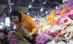 Работники российских компаний поделились идеями праздничных сюрпризов к 8 Марта rabotniki rossijskih kompanij podelilis ideyami prazdnichnyh syurprizov k 8 marta-ul-rks-ru-174122741200-0