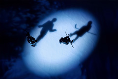 Трамп поддержал идею Путина о проведении матчей между игроками НХЛ и КХЛ