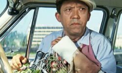 Россия обсуждает модернизацию института прописки для свободного выбора граждан Москвы и регионов rossiya obsuzhdaet modernizacziyu instituta propiski dlya svobodnogo vybora grazhdan moskvy i regionov-ul-rks-ru-174195279100-0