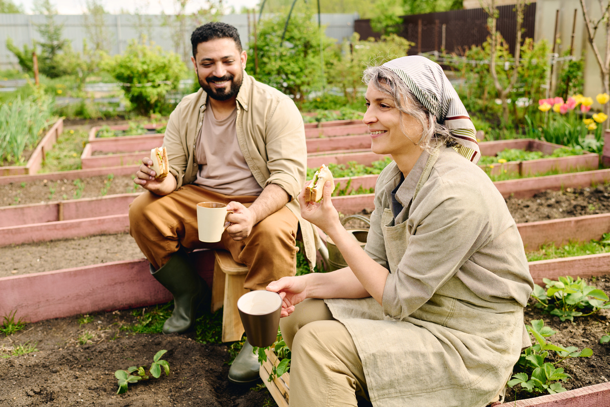 садоводы обедают