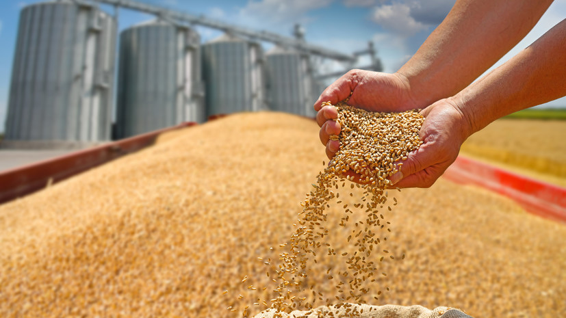 Самарская область поделилась с Мордовией лучшими практиками в сфере АПК