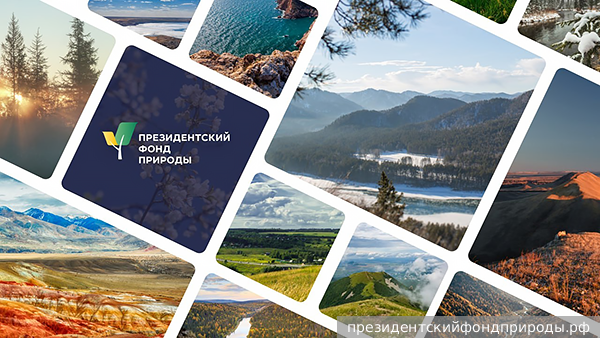 Участникам первого конкурса президентского Фонда природы помогут заполнить заявки