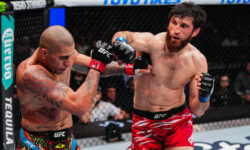 Шаблий — Перейра справился с вызовом Анкалаева, но уступил в чемпионском бою shablij perejra spravilsya s vyzovom ankalaeva no ustupil v chempionskom boyu-ul-rks-ru-174159416200-0