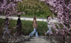 Солнечное тепло приходит в южные регионы России solnechnoe teplo prihodit v yuzhnye regiony rossii-ul-rks-ru-174158966600-0