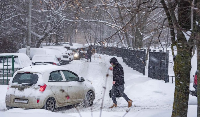 Вильфанд: на Москву надвигается мрачная оттепельная погода