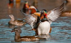Солнечный день подарит приморцам комфортную температуру в четверг solnechnyj den podarit primorczam komfortnuyu temperaturu v chetverg-ul-rks-ru-174128465400-0