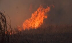 Умные камеры Лесохранитель защищают Приморье от лесных пожаров umnye kamery lesohranitel zashhishhayut primore ot lesnyh pozharov-ul-rks-ru-174250242300-0