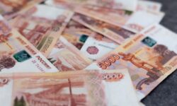 УМВД Приморья раскрыло мошенничество с грантами на сельское хозяйство 6 млн рублей umvd primorya raskrylo moshennichestvo s grantami na selskoe hozyajstvo 6 mln rublej-ul-rks-ru-174188949800-0