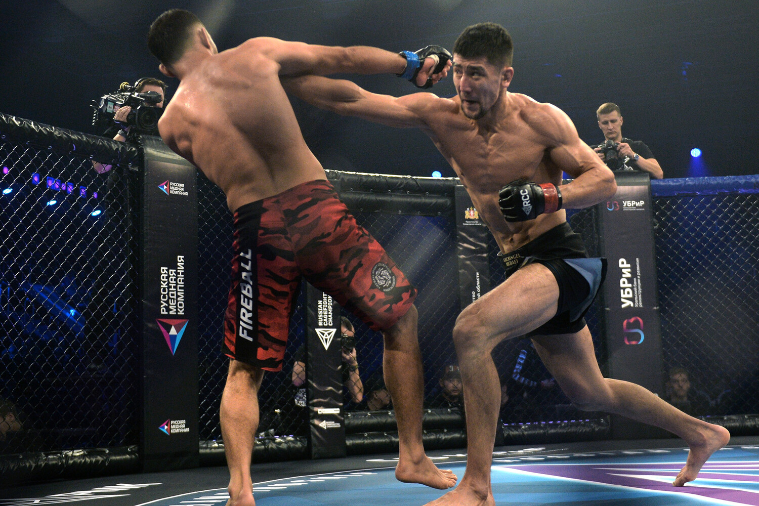 Университет Квинсленда раскрыл эволюционную роль длинных рук в единоборствах-0