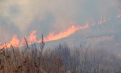 В Приморье успешно справляются с природными пожарами v primore uspeshno spravlyayutsya s prirodnymi pozharami-ul-rks-ru-174100741900-0
