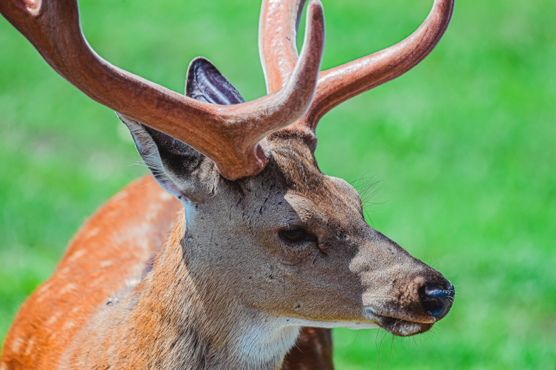 Фото: primamedia.ru