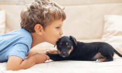 В России 23 марта День щенков и Международный день магии ABoyWithALittleDogPlayingAtHome