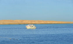 Вадим Боровков о спасении семьи в Хургаде история мужества и оперативной помощи vadim borovkov o spasenii semi v hurgade istoriya muzhestva i operativnoj pomoshhi-ul-rks-ru-174309565300-0