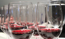 Василий Шуров о вызовах Анастасии Волочковой и Глюкозы на пути к здоровью Работа дегустационной комиссии проекта Винный гид России