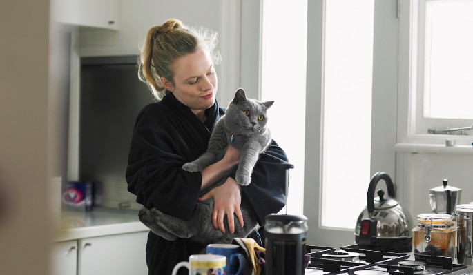 Веский повод завести кошку: помогает бороться со стрессом