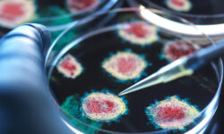 Владимир Болибок и Александр Лукашев об успехах России в изучении COVID-19 с ВОЗ vladimir bolibok i aleksandr lukashev ob uspehah rossii v izuchenii 19 s voz-ul-rks-ru-174230914000-0