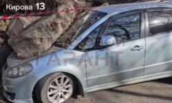 Во Владивостоке на Кирова, 13 начаты работы по восстановлению подпорной стены vo vladivostoke na kirova 13 nachaty raboty po vosstanovleniyu podpornoj steny-ul-rks-ru-174232930400-0