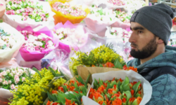 Врач Меметова рекомендует выбирать безопасные цветы для подарков vrach memetova rekomenduet vybirat bezopasnye czvety dlya podarkov-ul-rks-ru-174137030700-0