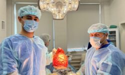 Врачи Владивостока успешно удалили гигантские опухоли размером с дыню vrachi vladivostoka uspeshno udalili gigantskie opuholi razmerom s dynyu-ul-rks-ru-174119619700-0