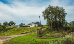 Юрий Трутнев и Владимир Путин запускают гектар для участников СВО по всей России yurij trutnev i vladimir putin zapuskayut gektar dlya uchastnikov svo po vsej rossii-ul-rks-ru-174204672500-0