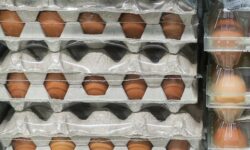 Цены в Великобритании и России - Дзен-анализ продуктового шопинга czeny v velikobritanii i rossii dzenanaliz produktovogo shopinga-ul-rks-ru-174486646900-0