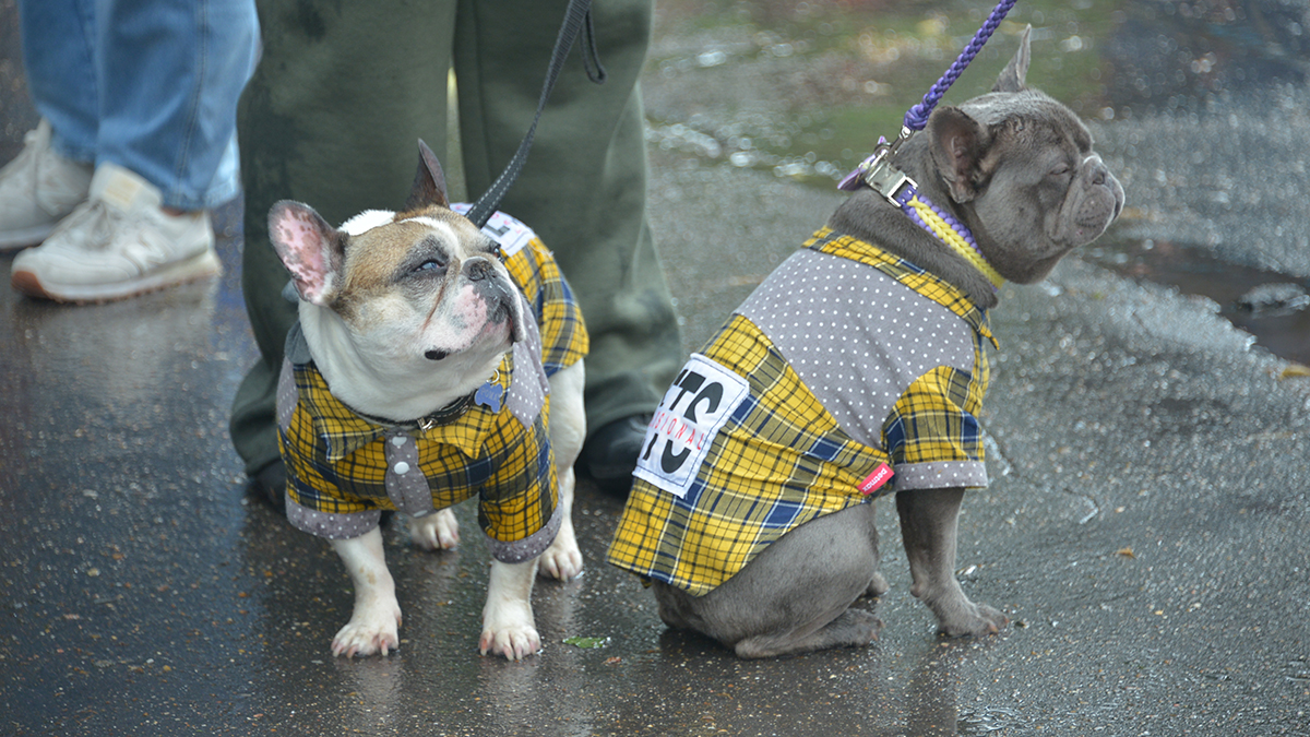 Праздники 21 апреля