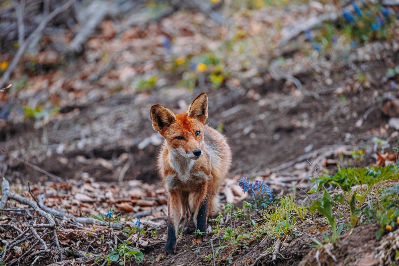 Фото: primamedia.ru