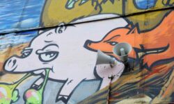 Дмитрий Раевский объясняет влияние эмоций на здоровье и профилактику онкологии dmitrij raevskij obyasnyaet vliyanie emoczij na zdorove i profilaktiku onkologii-ul-rks-ru-174568053900-0