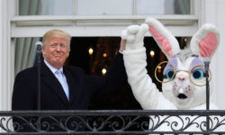 Дональд Трамп выбирает настоящие яйца для Белого дома и успешного преодоления кризиса от СПбГУ donald tramp vybiraet nastoyashhie yajcza dlya belogo doma i uspeshnogo preodoleniya krizisa ot spbgu-ul-rks-ru-174369748700-0