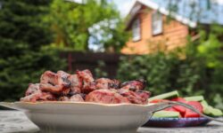 Эксперты NEWS.ru дают советы по безопасной порции шашлыка для здоровья eksperty dayut sovety po bezopasnoj porczii shashlyka dlya zdorovya-ul-rks-ru-174572861800-0